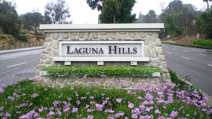 remote camera monitoring in Laguna Hills